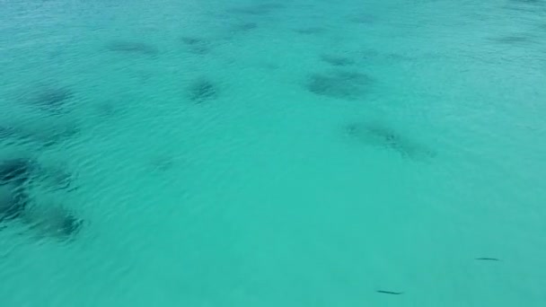 Volo Sopra Acqua Mare Azzurra Acqua Mare Limpida Barriere Coralline — Video Stock