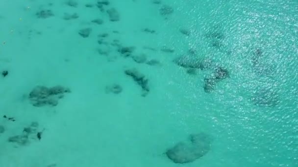 Hızla Alçalın Kıyıya Yakın Açık Mavi Deniz Suyunun Üzerinden Uçun — Stok video