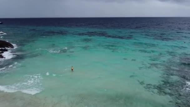 Una Persona Nuotare Nel Mare Con Tempo Tempestoso Tropici Nuotando — Video Stock