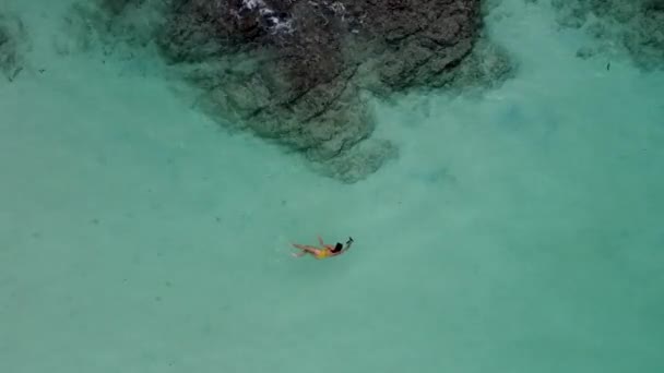 黄色の水着の女の子は浅い水でシュノーケリング カメラで魚を撮影 トップビュー — ストック動画