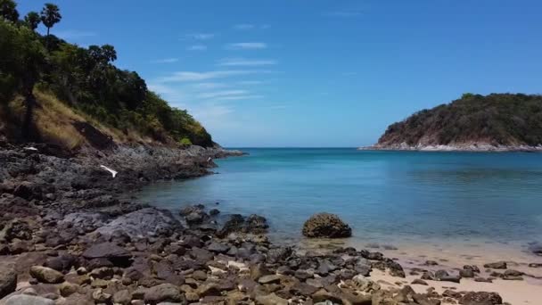 Mar Tranquilo Una Playa Tropical Una Chica Entra Agua Hasta — Vídeo de stock