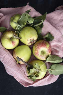 Ağaçtan taze toplanmış organik elmalar. Arkaplanı koyu olan elmalar. Sağlıklı tatlı.