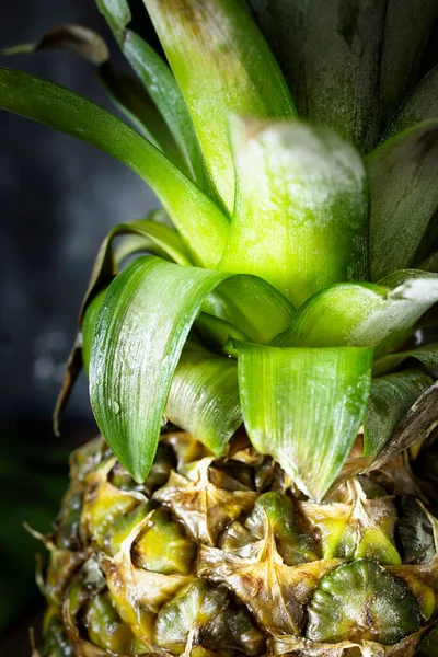 Whole Fresh Pineapple Whole Pineapple Sunset Light Tropical Fruit Fruit — Foto Stock