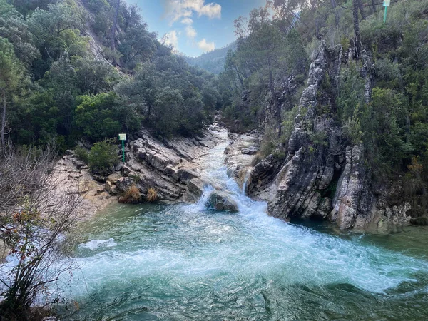 Rivière Borosa Est Petit Affluent Guadalquivir Dans Sierra Cazorla Segura — Photo