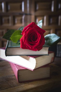 Kitaplar ve güller. Kitabın ve Katalonya, İspanya 'daki San Jordi' nin sembolleri