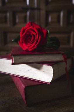 Kitaplar ve güller. Kitabın ve Katalonya, İspanya 'daki San Jordi' nin sembolleri