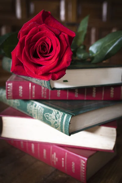 Kitaplar ve güller. Kitabın ve Katalonya, İspanya 'daki San Jordi' nin sembolleri