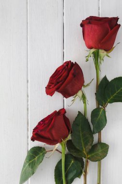 Beyaz ahşap zemin üzerinde kırmızı gül
