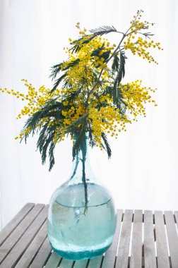 Taze ve aromatik çiçekli Mimosa buketi