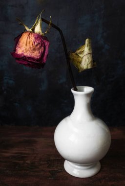 Karanlık bir arka planda vazoda kurumuş gül. Kuru ve ölü gül