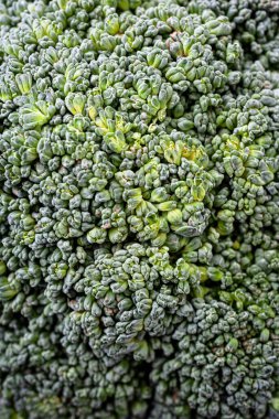 Brokoli filizlerinin yakın plan fotoğrafını çek. Brokoli dokusu. Yeşil sebze dokusu