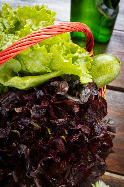 Fresh oak leaf lettuce. Fresh lettuce freshly picked from the home garden.