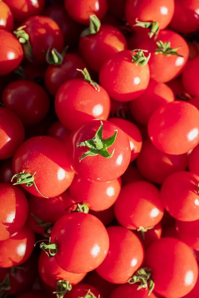 Plate Full Ripe Cherry Tomatoes Wooden Table Sunlight — Stockfoto