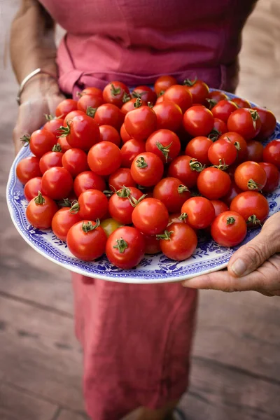 Woman Pink Dress Holding Plate Full Fresh Red Cherry Tomatoes — Stockfoto