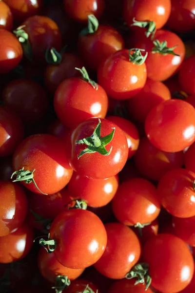 Plate Full Ripe Cherry Tomatoes Wooden Table Sunlight — Stock Photo, Image