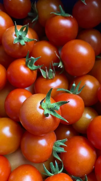 Good Amount Red Cherry Tomatoes Freshly Picked Garden — Stockfoto