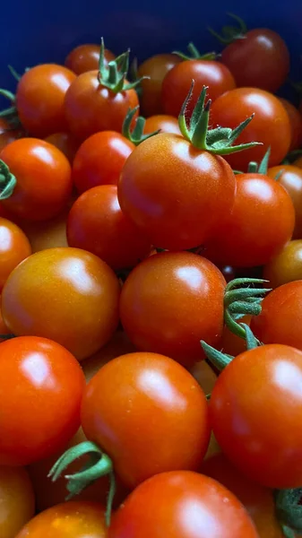 Good Amount Red Cherry Tomatoes Freshly Picked Garden — Stockfoto