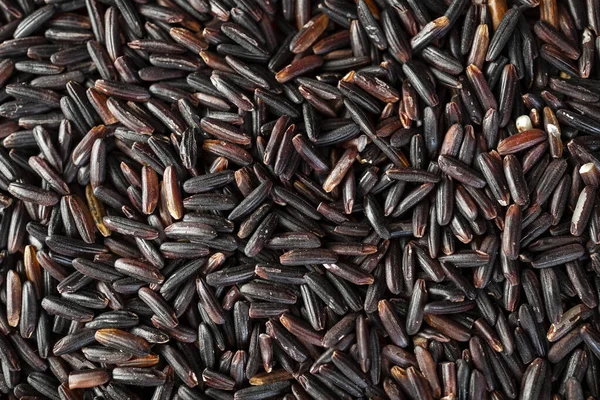 Black rice, also known as purple rice or forbidden rice. Organic unpolished black rice grains as a source of complex carbohydrates and high in antioxidants.
