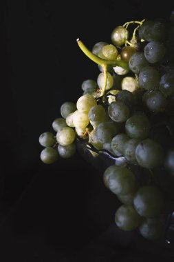 Koyu arkaplanda güzel organik beyaz üzümler var..