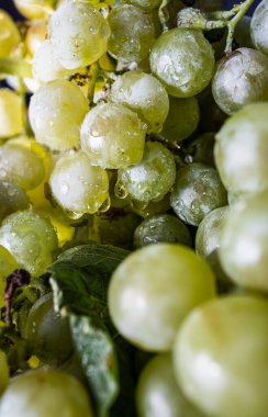 Koyu arkaplanda güzel organik beyaz üzümler var..