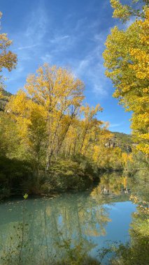 Cuenca 'nın çevresi, sonbaharda Sierra de Cuenca. Sonbaharda Serrania de Cuenca 'nın manzaraları. İspanya 'nın Castilla la la Mancha manzaraları