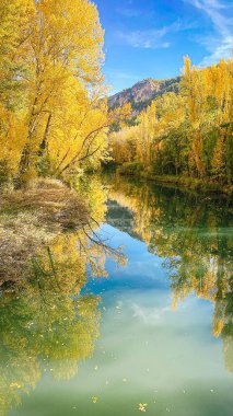 Cuenca 'nın çevresi, sonbaharda Sierra de Cuenca. Sonbaharda Serrania de Cuenca 'nın manzaraları. İspanya 'nın Castilla la la Mancha manzaraları