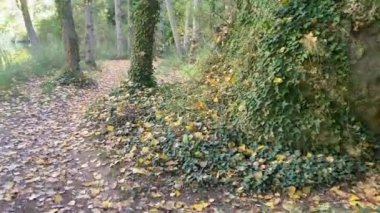 Cuenca 'da güzel bir sonbahar manzarası, Castilla la la Mancha, İspanya' daki Jcar nehrinin yanında.