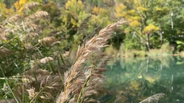 Чудовий Осінній Краєвид Куенці Поруч Річкою Якар Кастилія Манча Іспанія — стокове відео
