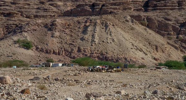 Jordan Dead Sea Spectacular Landscape Very Salty Water — Stok fotoğraf