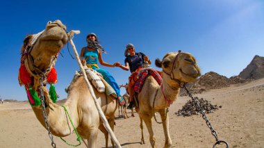 Mısır 'da turistler eğlence için deveye biniyor.