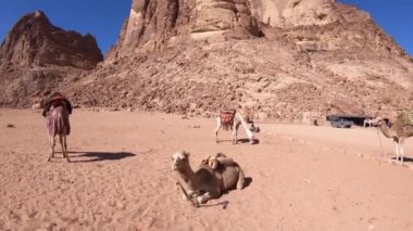 25 Aralık 2021 'de turistlerle yürüdükten sonra Ürdün' deki Wadi rom çölünde dinlenen develer.