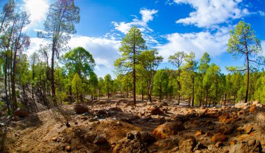 Tenerife 'deki ulusal park volkanik manzaralar, Kanarya adaları, İspanya