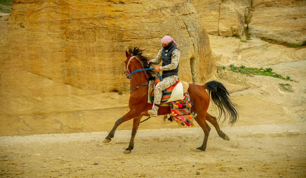Beduinos Ofreciendo Sus Servicios Turistas Petra Jordania Antes Pandemia Febrero —  Fotos de Stock