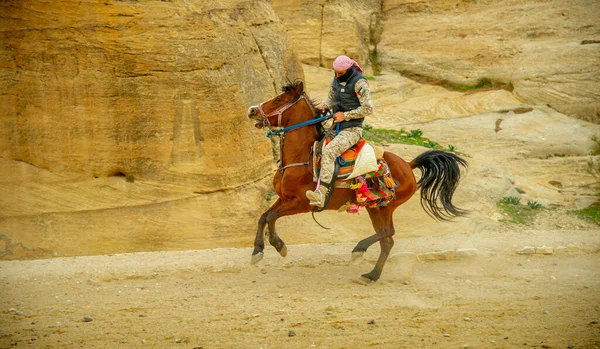 Beduinos Ofreciendo Sus Servicios Turistas Petra Jordania Antes Pandemia Febrero —  Fotos de Stock