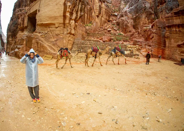 Turistposer Petra Jordanien Februari 2020 Med Kameler Och Regn Bakgrunden — Stockfoto