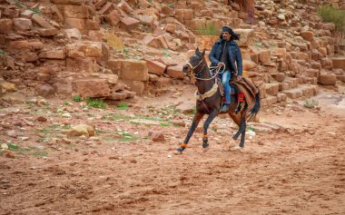 Petra Jordan 'daki Bedevi 20 Şubat 2020' de turistlere at binme hizmeti sunuyor