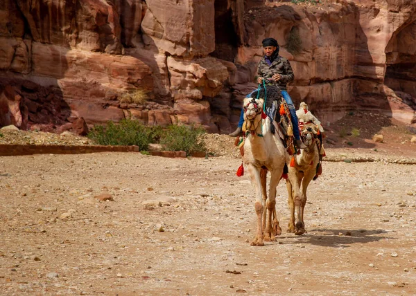 Bedouin Camel Offering Services Transport Tourists Petra Jordan February 2020 — Stock Photo, Image