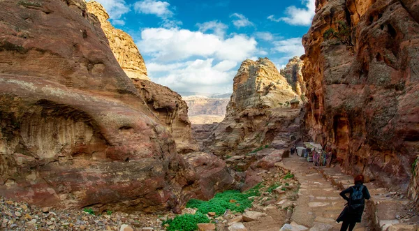 Montañas Rocosas Rojas Con Hierba Verde Cielos Azules Petra Jordania — Foto de Stock