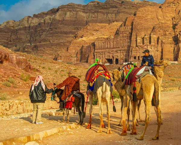 Beduinos Camellos Esperando Turistas Petra Jordania Febrero 2020 — Foto de Stock