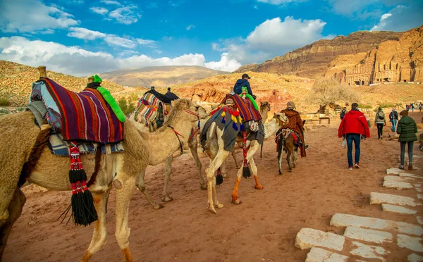Beduinos Camellos Esperando Turistas Petra Jordania Febrero 2020 —  Fotos de Stock