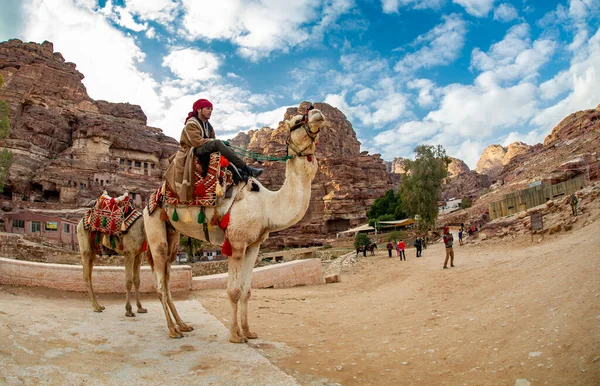 Beduinos Camellos Esperando Turistas Petra Jordania Febrero 2020 — Foto de Stock
