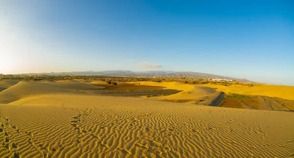 Sanddünen Berühmten Naturstrand Von Maspalomas Gran Canaria Spanien Mit Goldenem — Stockfoto