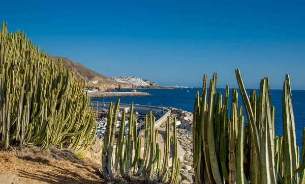 Landscape Puerto Rico Village Beach Gran Canaria Spain Top View — Stock fotografie
