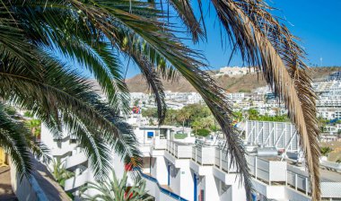 2 Şubat 2022 - Porto Riko köyü ve Gran Canaria, İspanya sahilleri. Ön planda bir palmiye ağacının yaprakları var.