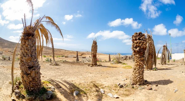 Gran Canaria Canary Islands Isleta Peninsula Montana Las Coloradans Natural — Stock Photo, Image