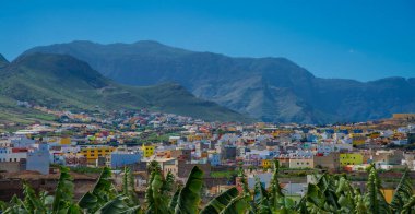 Gran Canaria 'daki muz çiftliği, muz yapraklarına yakın, renkli evlerin olduğu arka plan.