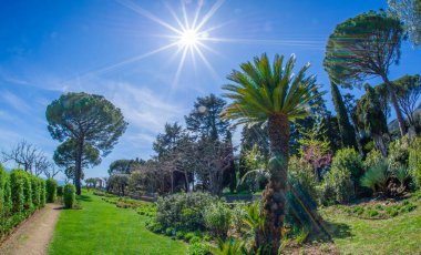Landscape of colourful flowers and palm trees on the Amalfi coast of Ravello Italy with bright sun and blue sky