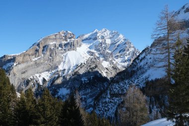 Kışın Tatelishorn Dağı, İsviçre, Kandersteg yakınlarındaki Spittelmatte kar ayakkabısı yürüyüş parkurundan görüldü..