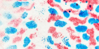 Kırmızı Mavi Soyut İşaret. Sanat suluboya kravat boyası izi. Flower Grunge 'ı yıka. Parlak Kova Rengi Deseni. Renkli El Sıçraması. Mürekkep lekesi desenli mürekkep fırçası. Soyut Dökülme Mürekkebi.