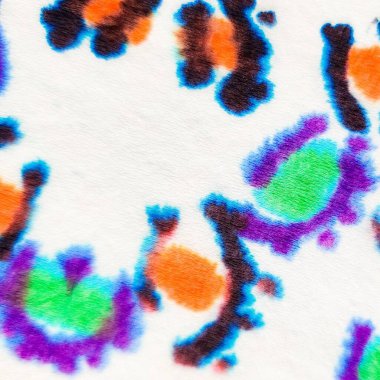 Gökkuşağı Soyut Nokta. Mürekkep Su Şekli. Art Multi Color Shibori Drip. Çiçekli Sulu Kağıt Splotch. Renkli El lekesi. Çiçek Yıka Efekti. Mürekkep Sıçratma Kalıbını Yıka Mürekkep Gradyan Soyut Boyası.